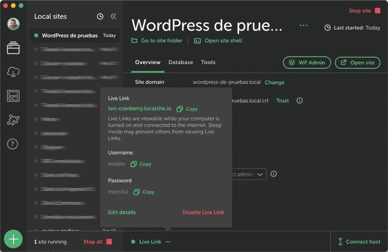 Compartir Live Link Local WordPress