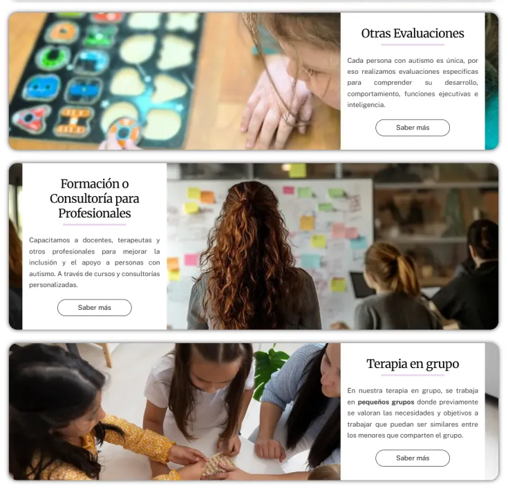 Detalle de interfaz del proyecto web Abaloo Intervenciones SL