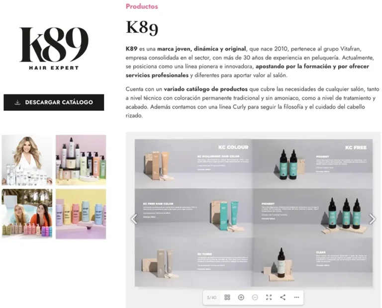 Detalle de interfaz del proyecto web Api Klay