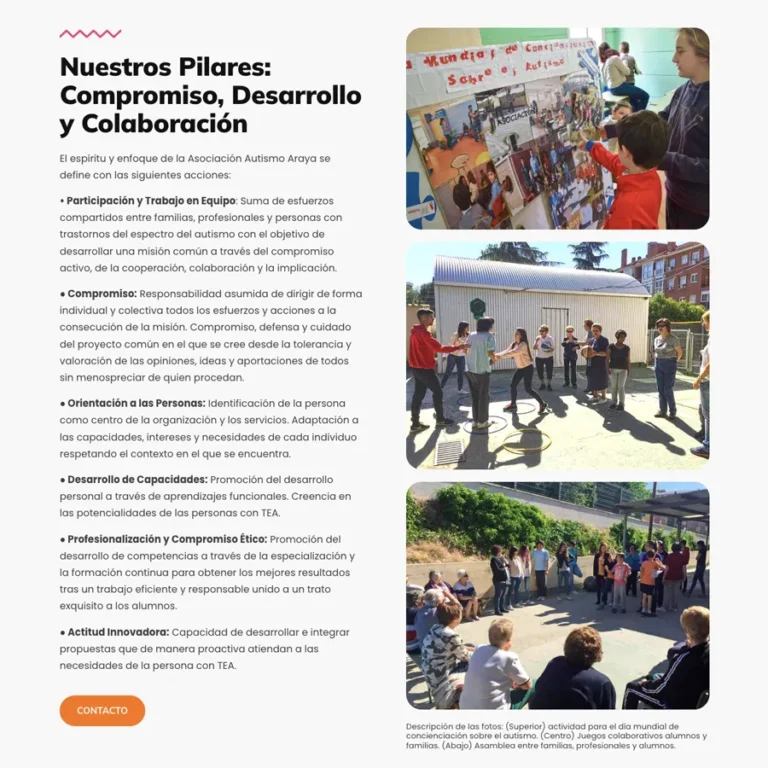 Detalle de interfaz del proyecto web Asociación Autismo Araya