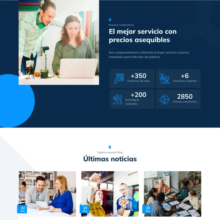 Detalle de interfaz del proyecto web Baya Trade Services