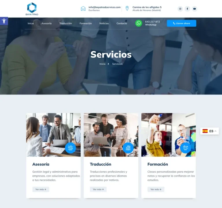 Detalle de interfaz del proyecto web Baya Trade Services