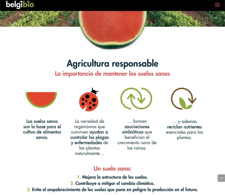 Detalle de interfaz del proyecto web Belgi Bio