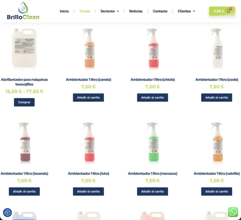 Detalle de interfaz del proyecto web Brillo Clean