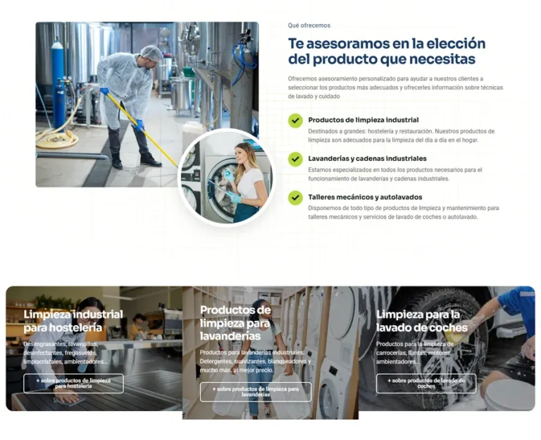 Detalle de interfaz del proyecto web Brillo Clean