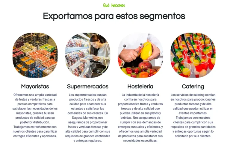 Detalle de interfaz del proyecto web Dagosa Marketing