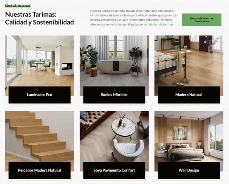 Detalle de interfaz del proyecto web Eco Tarimas