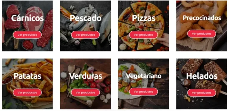 Detalle de interfaz del proyecto web Frigo Ibiza