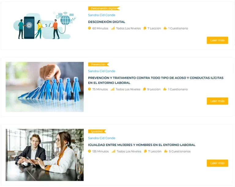 Detalle de interfaz del proyecto web Lógica Auditoría e Igualdad