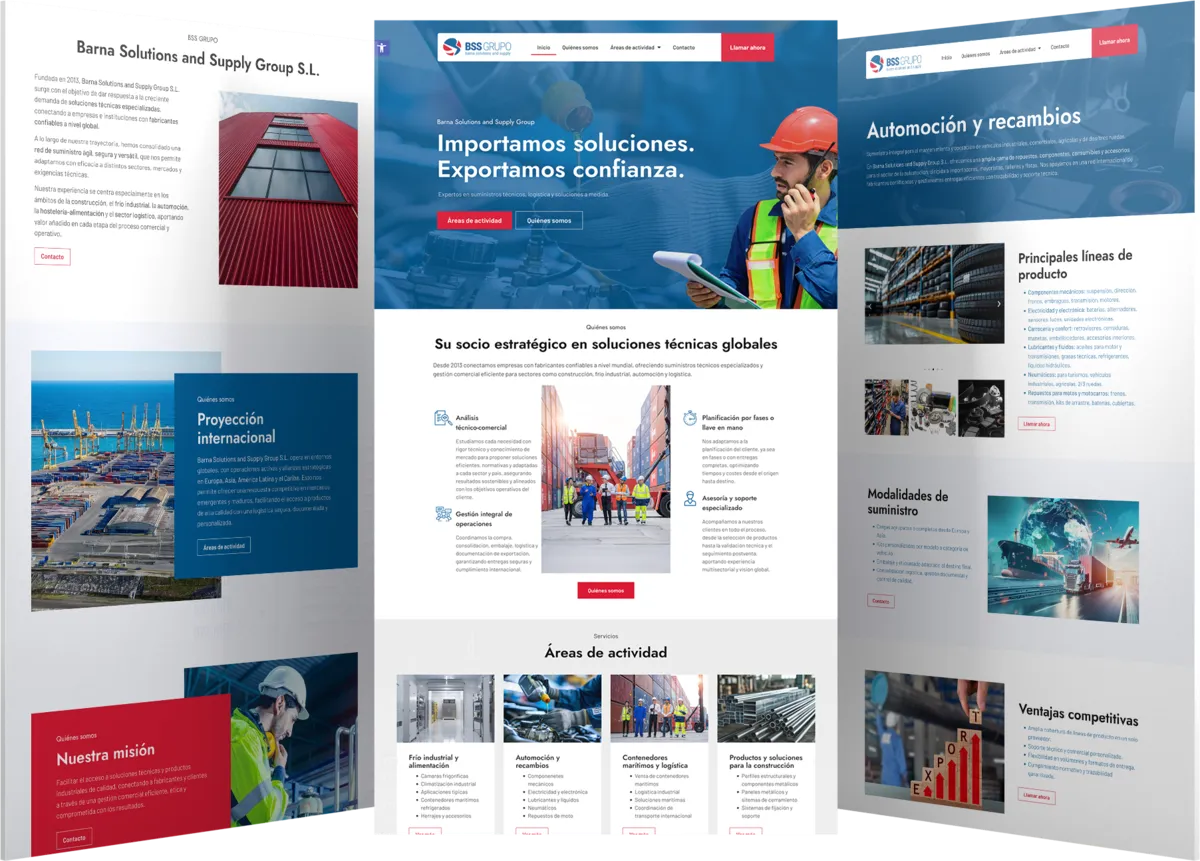 Pantallas del proyecto del proyecto web BSS grupo