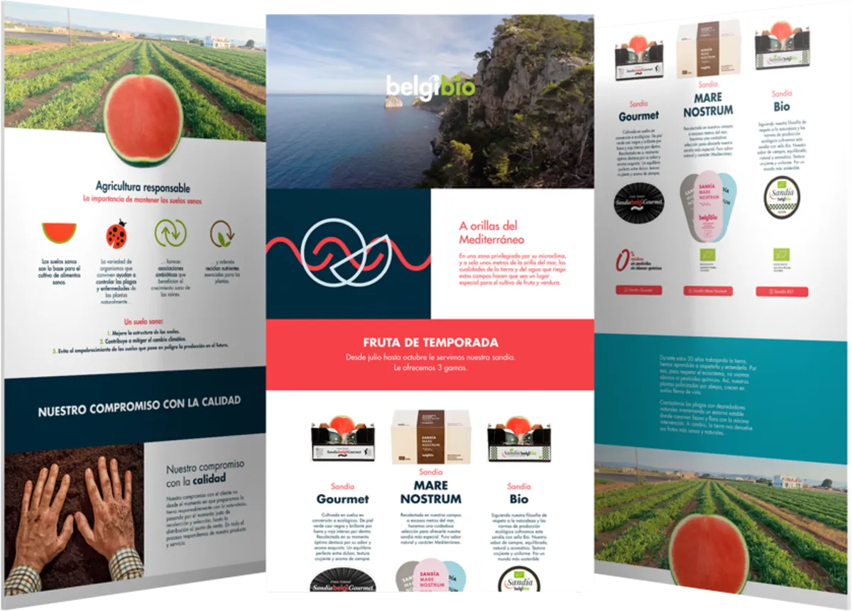 Pantallas del proyecto del proyecto web Belgi Bio