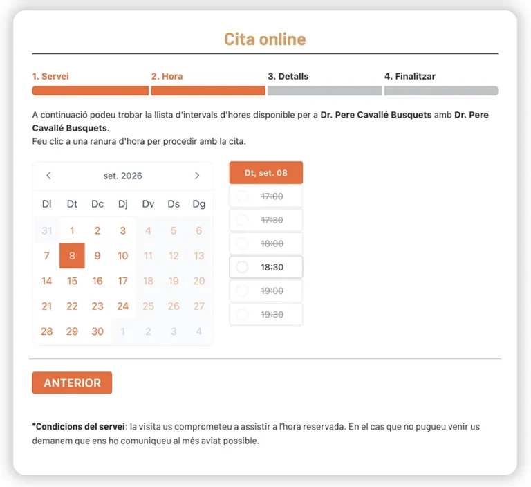 Detalle de interfaz del proyecto web Pere Cavalle