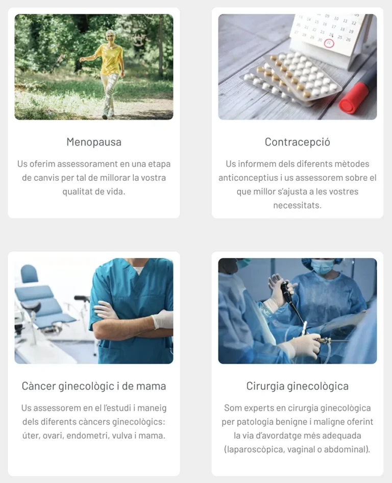 Detalle de interfaz del proyecto web Pere Cavalle