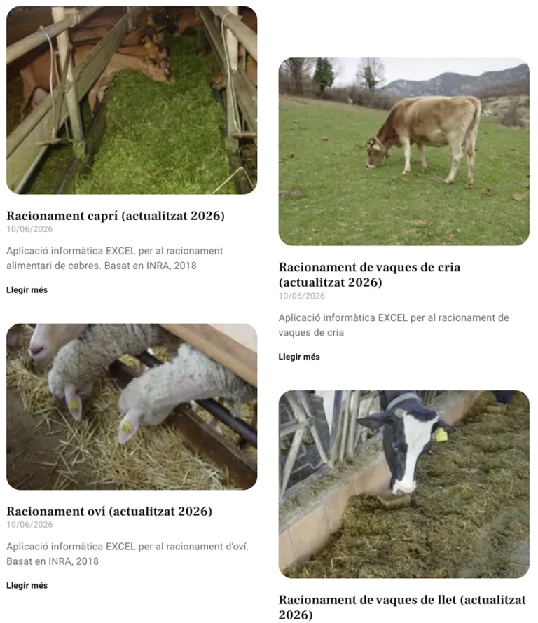 Detalle de interfaz del proyecto web Remugants