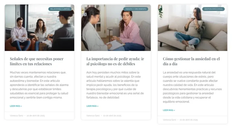 Detalle de interfaz del proyecto web Vanessa Sanz