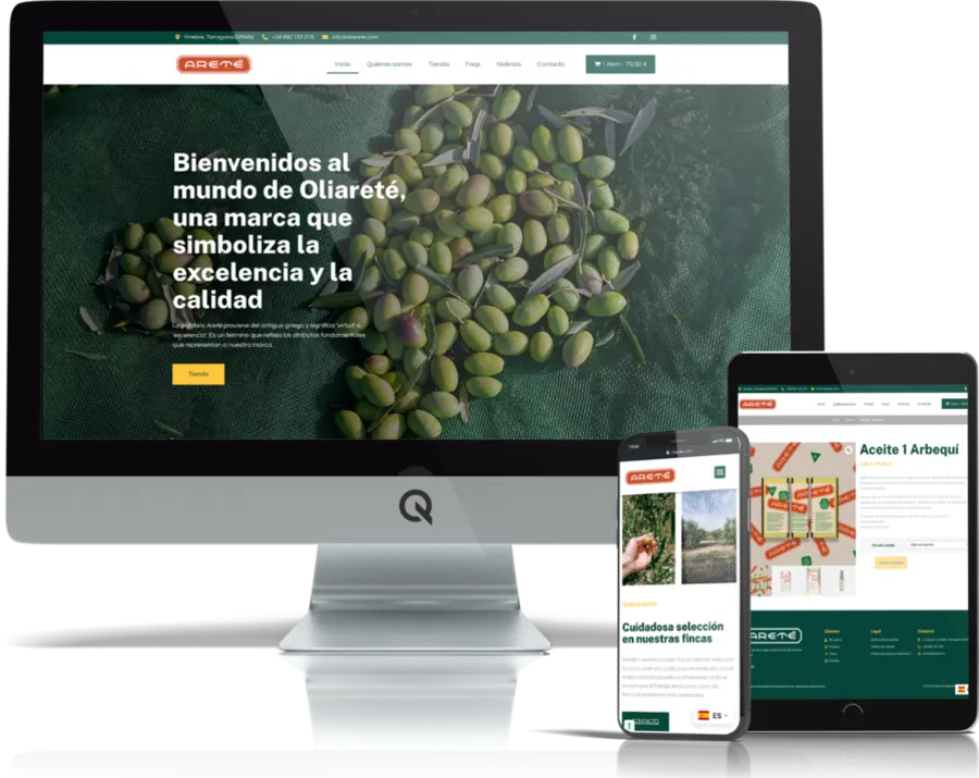Diseño responsive del proyecto web Oli Areté