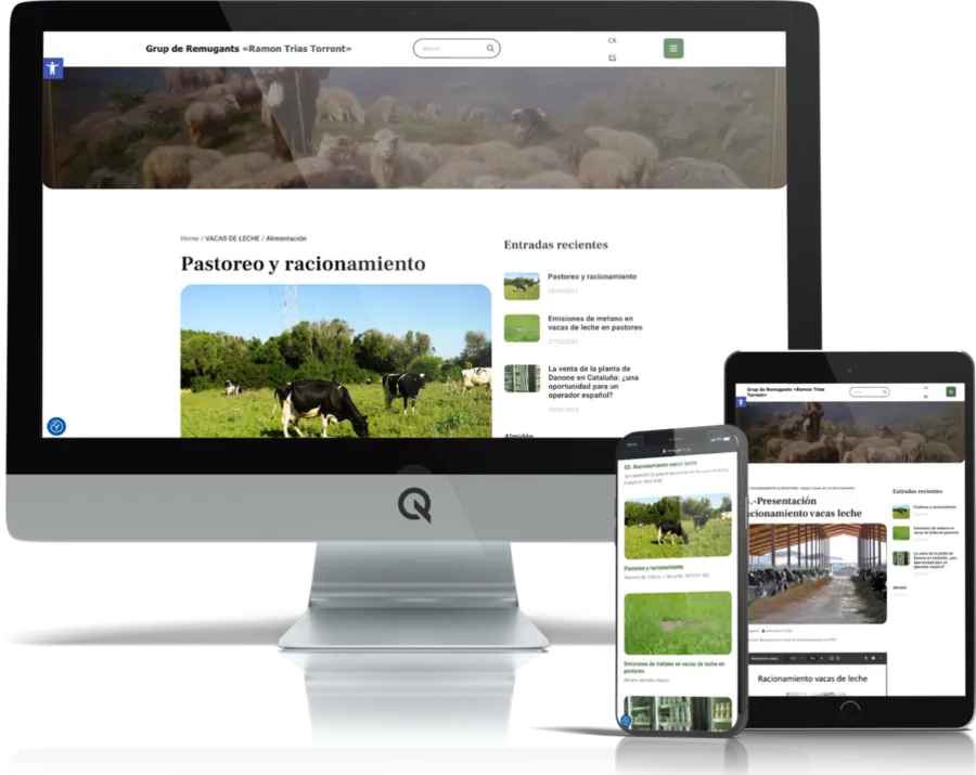 Diseño responsive del proyecto web Remugants